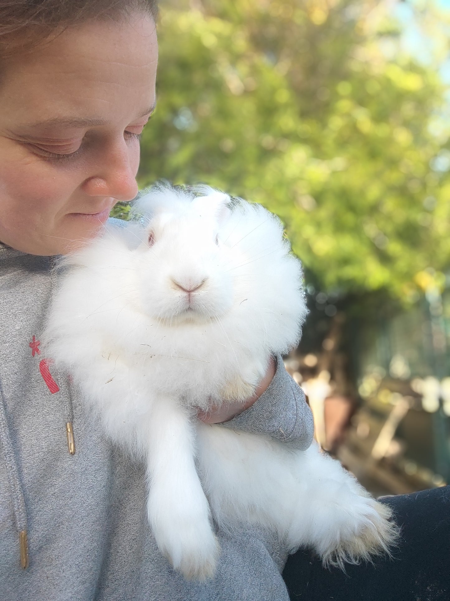 Chaussettes en Angora français
